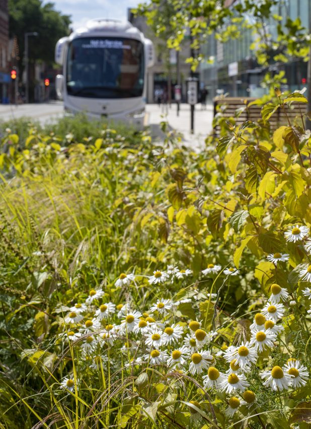 Broadmarsh in Nottingham public walkway