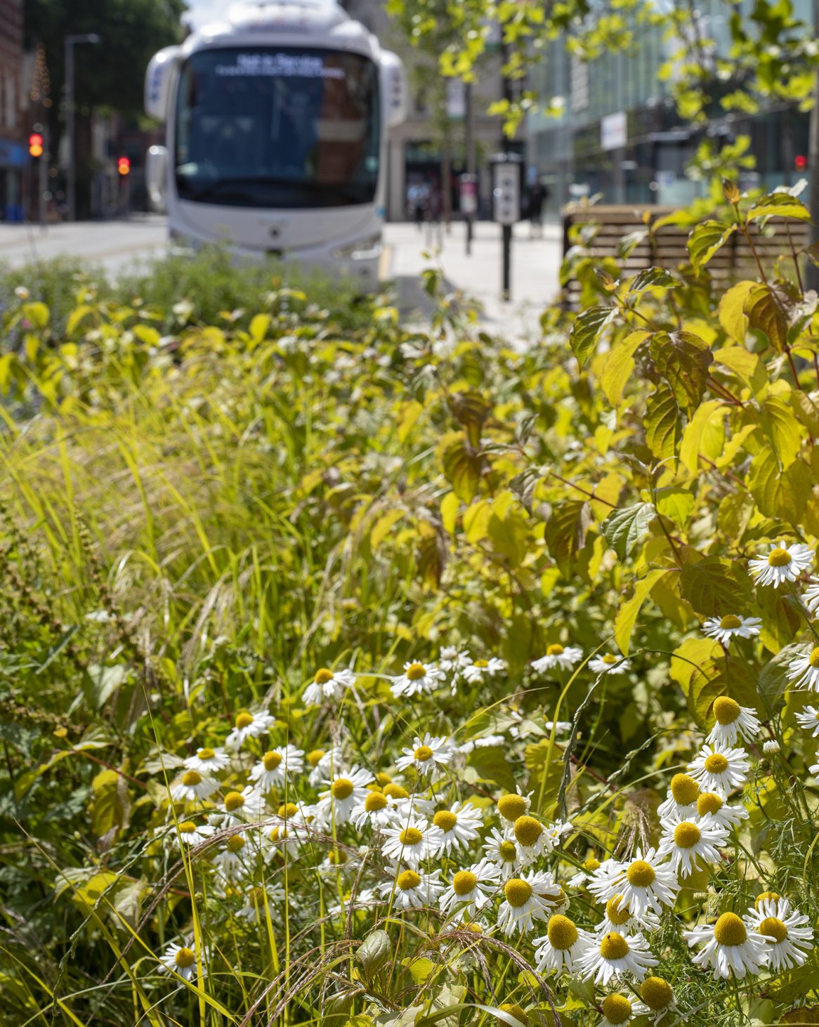 Broadmarsh in Nottingham public walkway