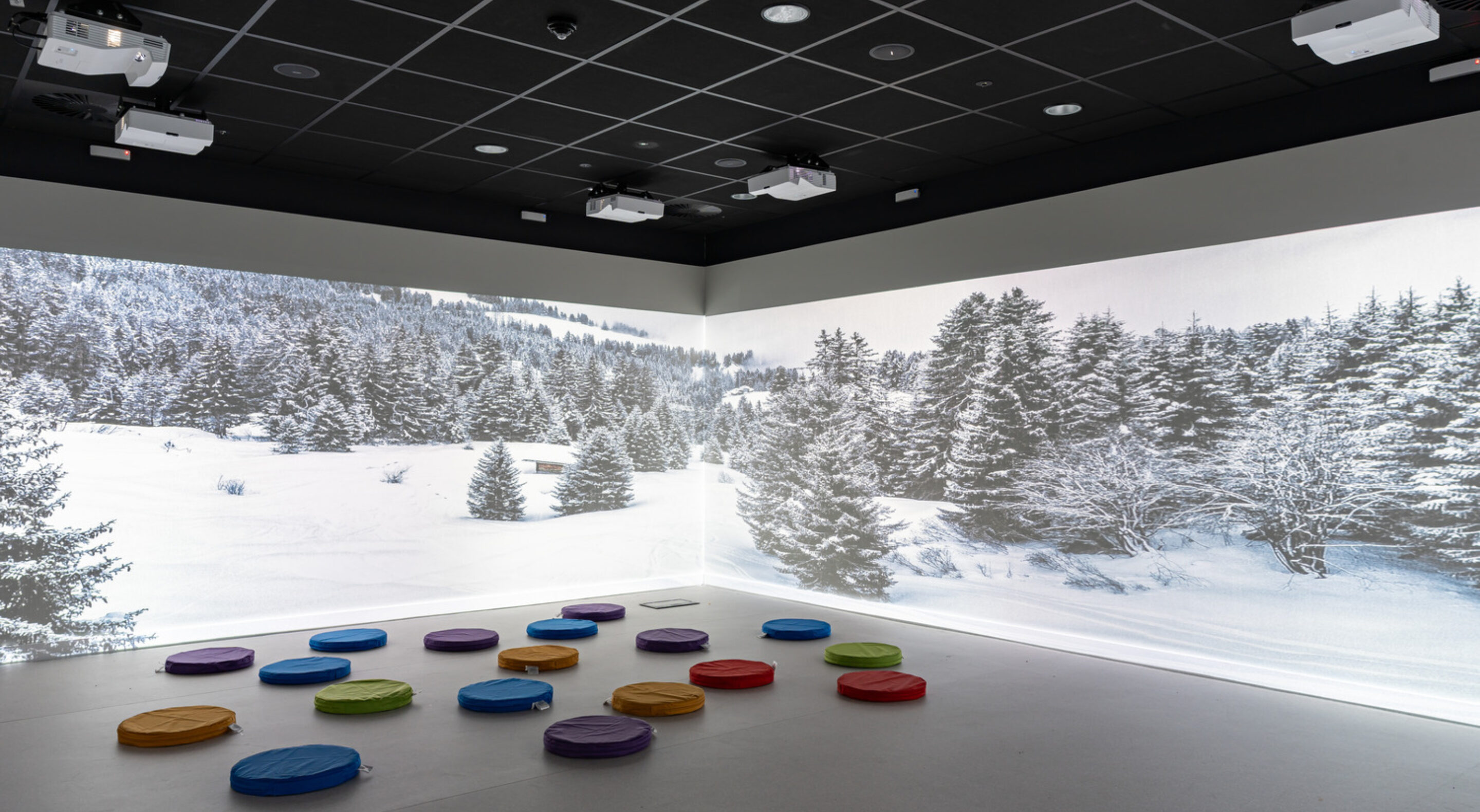 Library's VR projection room