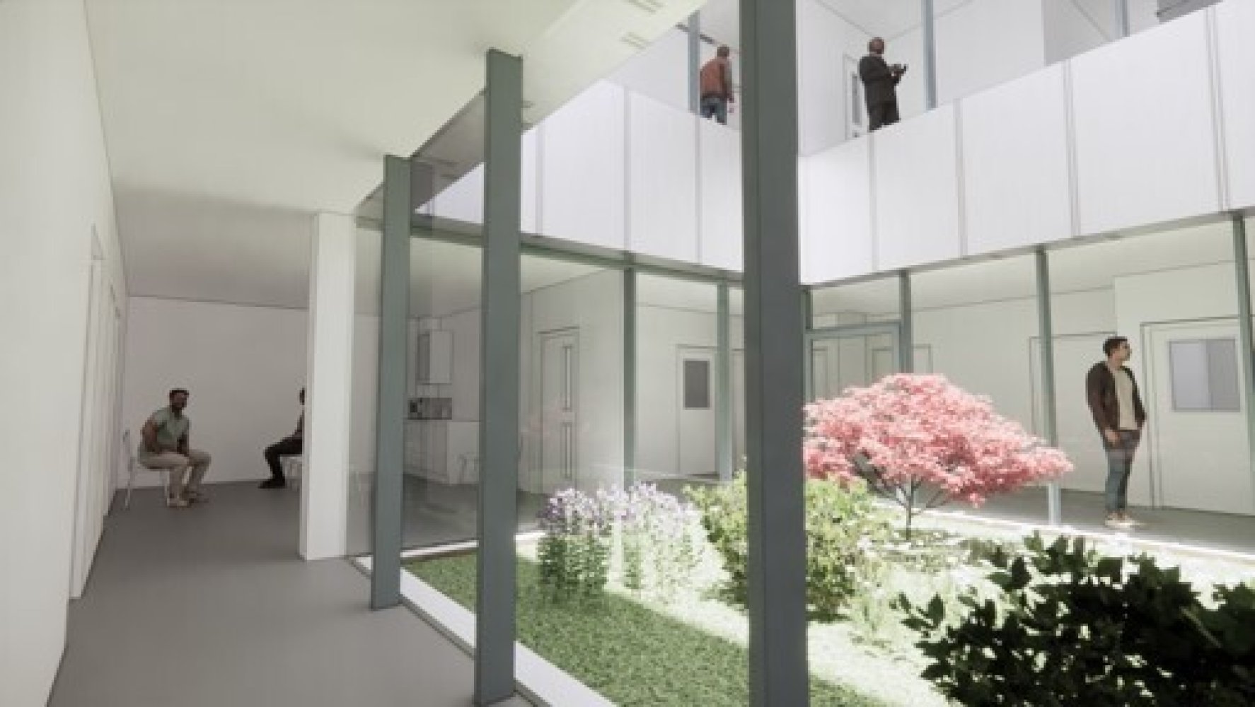 Courtyard with big windows to a garden with grass, trees and plants