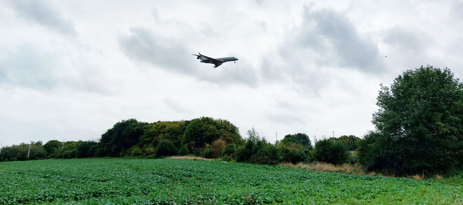 Field with plane flying over