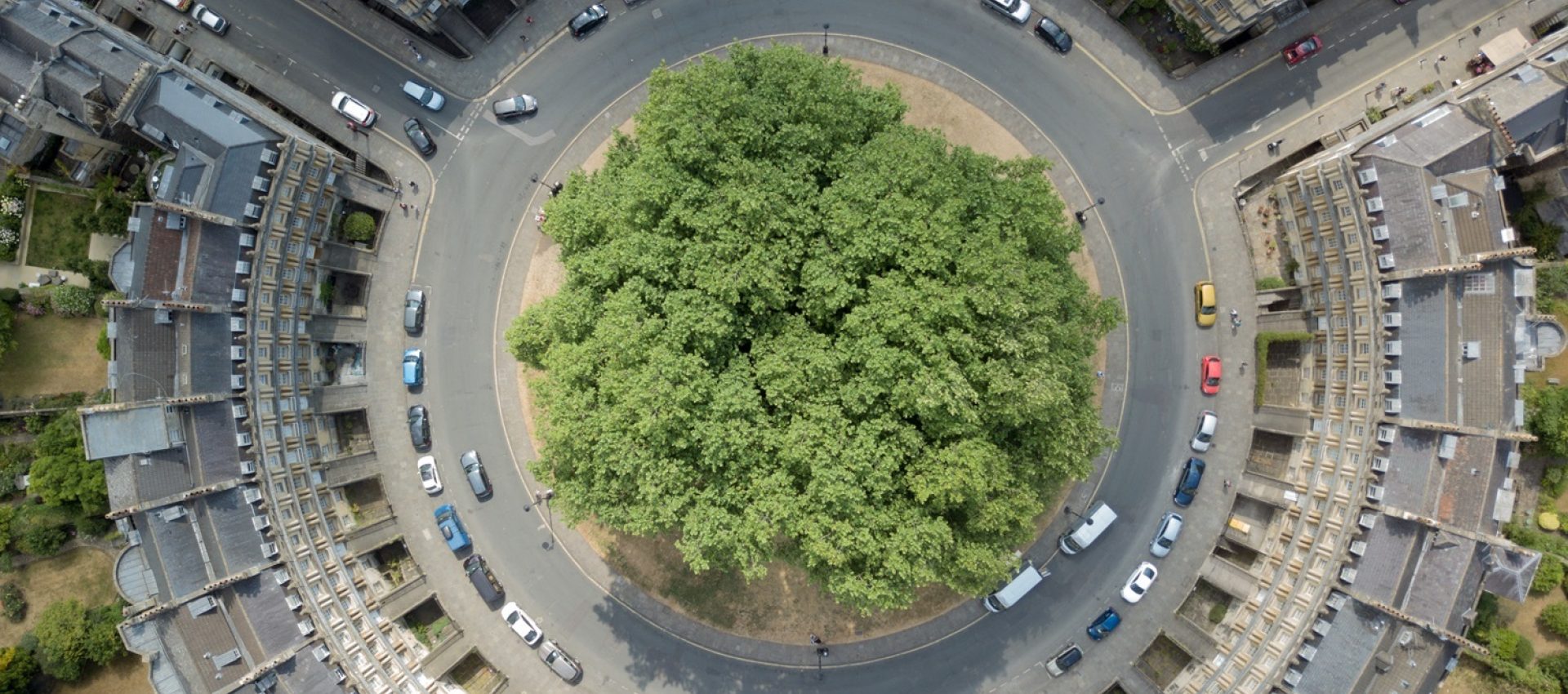 Aerial photo of a tree and roundabout