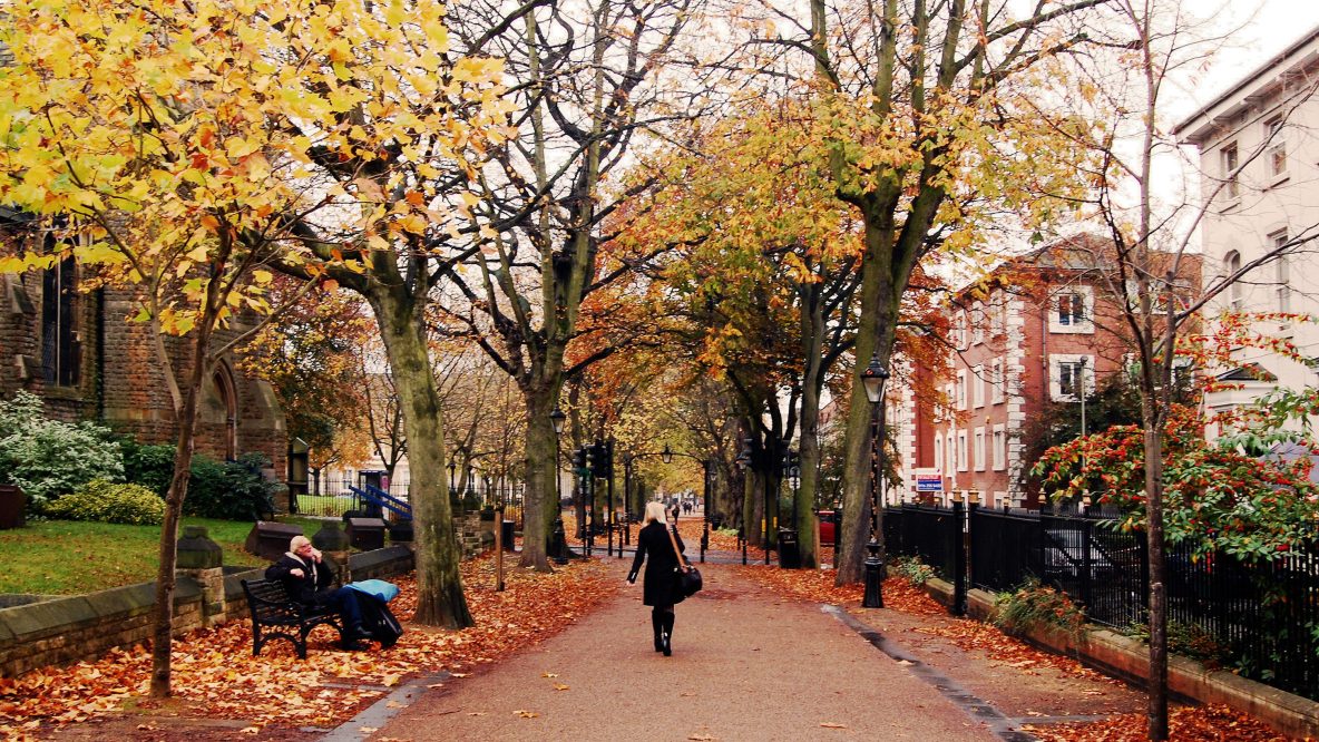 A woman walks through a leafy city path in autumn