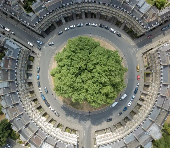 Aerial photo of a tree and roundabout