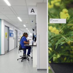 Internal of a hospital ward