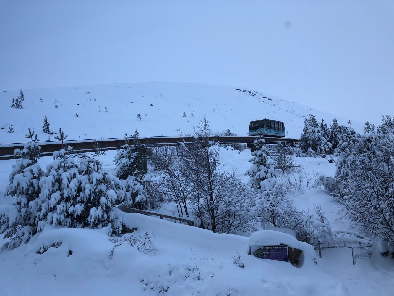 A train travelling on tracks raised up on a viaduct on a snow covered mountain