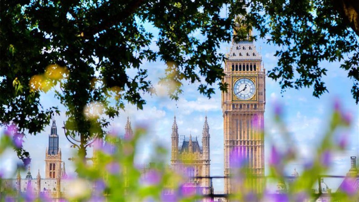 Houses of Parliament through the trees